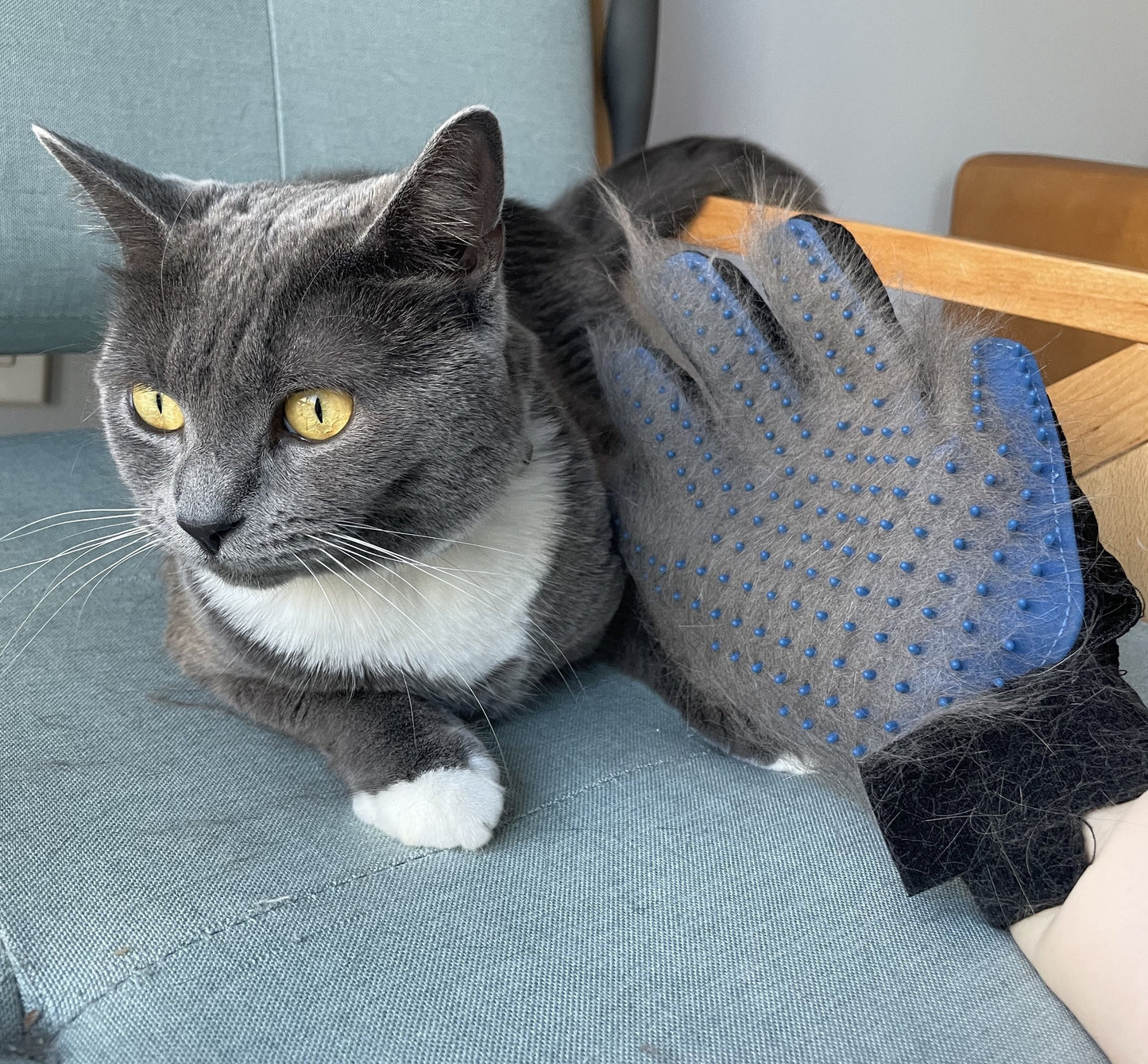 premium pet hair grooming glove