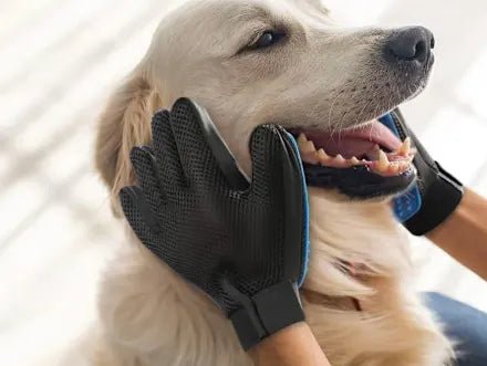 premium pet hair grooming glove